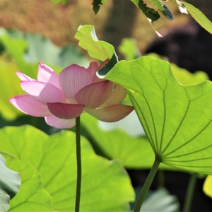 Oa9YKyUGWEAHA2nJ1Mcc.jpeg?w=940&h=940