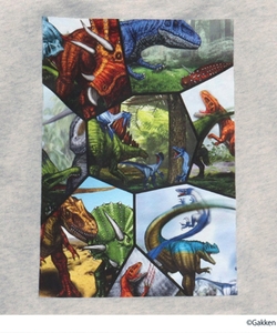 Oc5Qb9hwWyDuhtTmzFcw.jpg?w=940&h=940