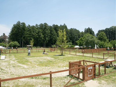 Od7tEdZjNDJpOPwY2auN.png?w=940&h=940