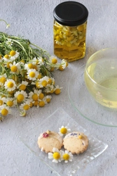 国産カモミールを使った心華やぐワークショップ　 新宿OZONEにて5月17日(土)開催