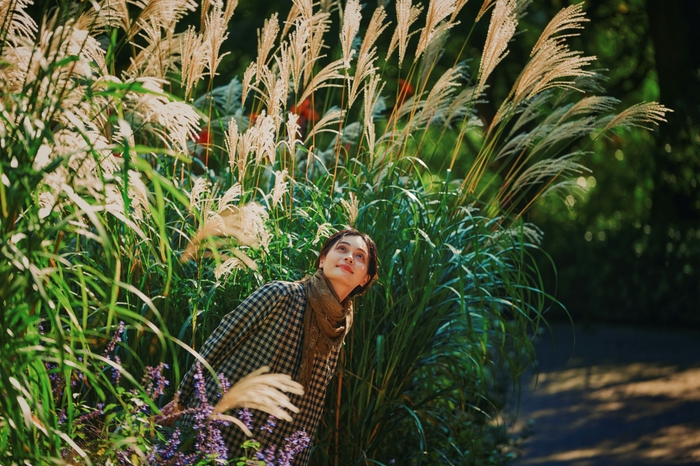 ガーデン散歩(四季の庭-いやしの庭-)