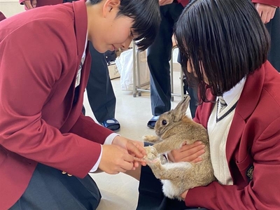 OfhrIi9azJoHiHIGmgt6.jpg?w=940&h=940