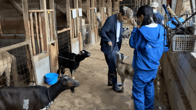 OgAhx8XjLyyFyqwNXsvH.png?w=940&h=940