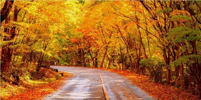 OhPWGJ43r6P788o4JpjW.jpg?w=940&h=940