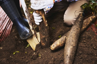 Oiwp4n9vjtSp9WDmRqfG.jpg?w=940&h=940