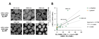 Oj1qIh2eAs9uYl5HJYCZ.png?w=940&h=940