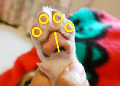 Oj2Pv0PaULWDyvmg1HOy.jpeg?w=940&h=940