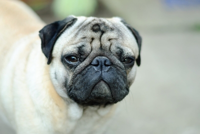 OjG5dRxXSiC5JFy954dl.jpeg?w=940&h=940