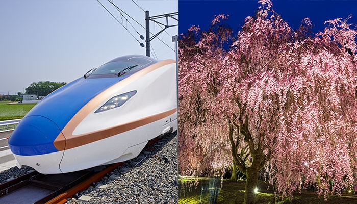 北陸新幹線延伸により、東京方面からのアクセスがより便利で快適に!