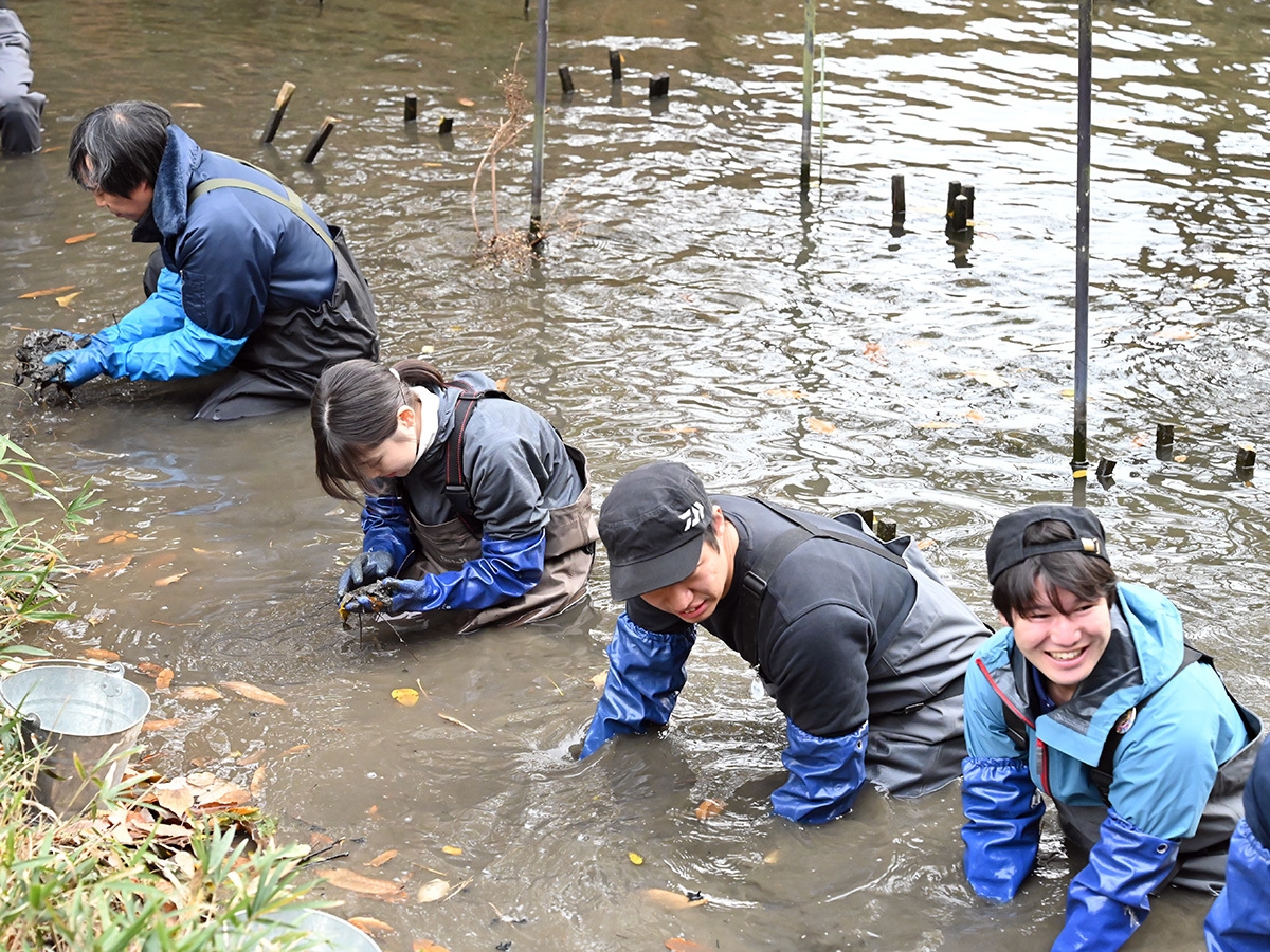 ため池(区域(1))二枚貝の採取