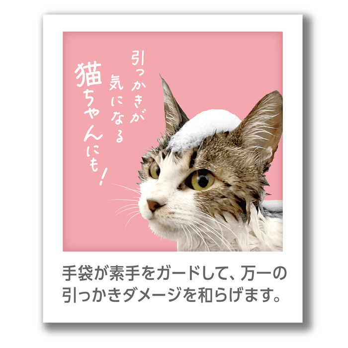 猫ちゃんにもおすすめ