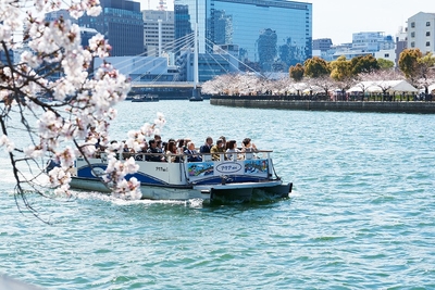 Ok2EyFYAqYe5n4O1JFyn.jpg?w=940&h=940