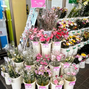 Om6N9HW4tBMZmBKLuWH6.jpg?w=940&h=940