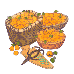 OmhUpHewbuepByFzynLH.png?w=940&h=940