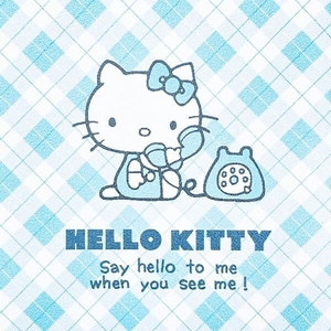 ハローキティ　キーパスポーチ