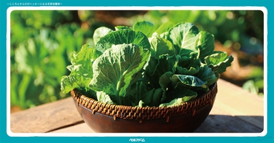 OnrCgI79aPHvFoHTNQpu.jpg?w=940&h=940