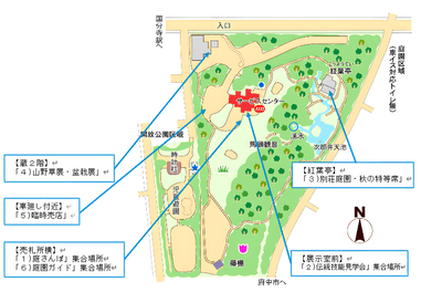 OoBWx6vDVJoqUdzR6P50.png?w=940&h=940