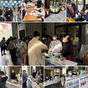 過去の活動の様子