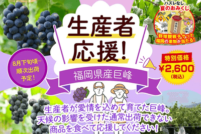 OoO031ClUGWEcCp8bsZ7.png?w=940&h=940