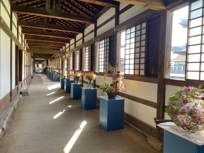 OqSxPsVwIFY4UdMXXRLf.jpg?w=940&h=940