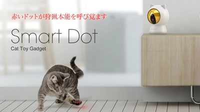 運動不足を解消して肥満のリスクを軽減　 猫専用スマートガジェット「Smart Dot」 クラウドファンディングMakuakeで先行発売！
