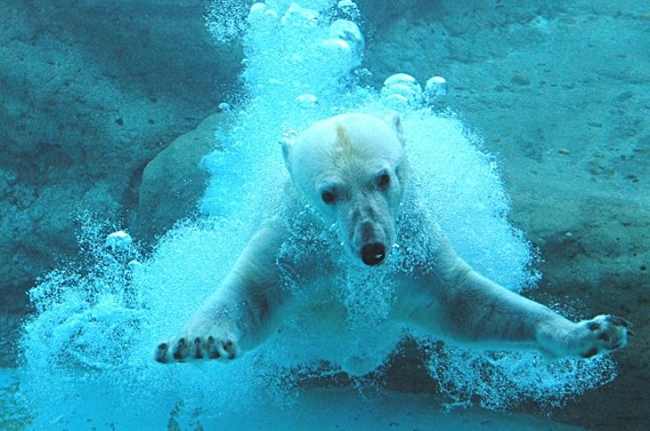 のんほいパーク(豊橋総合動植物公園)