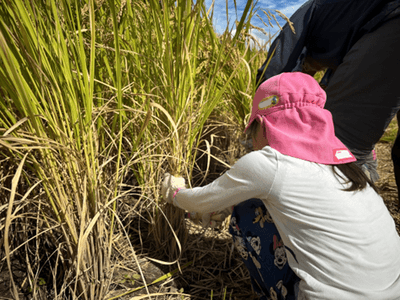 OrGFOP2cELzXnHMj6zXx.png?w=940&h=940