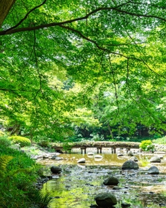 OvWF5WrbL0Pnd0woFQIx.jpg?w=940&h=940