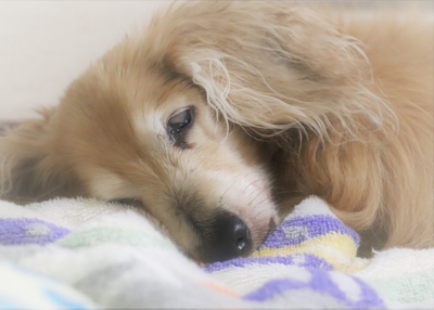 OvXMrXp78dnq4TuOBuQQ.jpeg?w=940&h=940