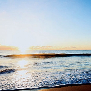 OxctbQ1qkhEa05PgDRhl.jpg?w=940&h=940