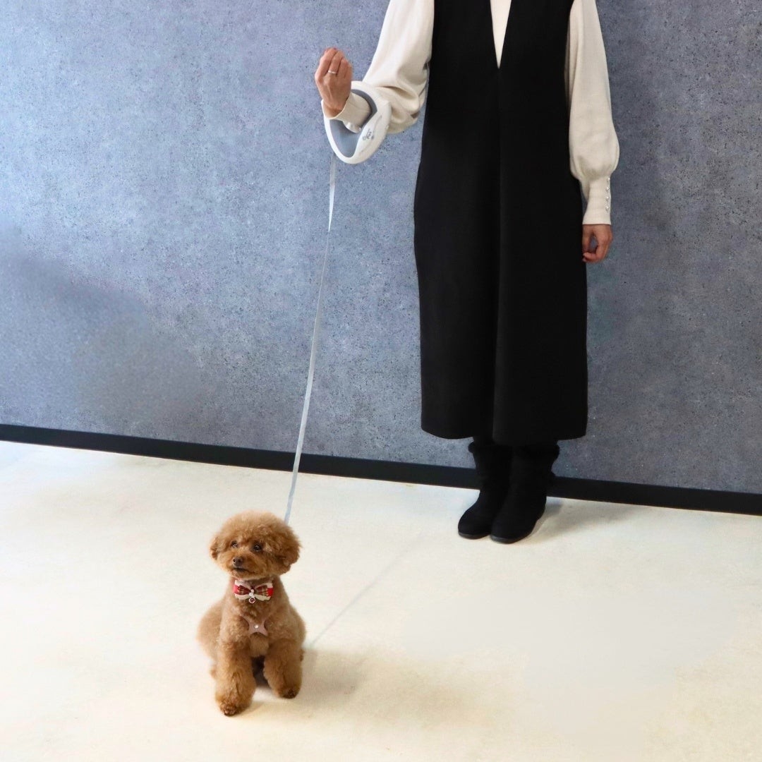 「腕が通せる伸縮リールリード」は散歩中、ハンズフリーになって便利。