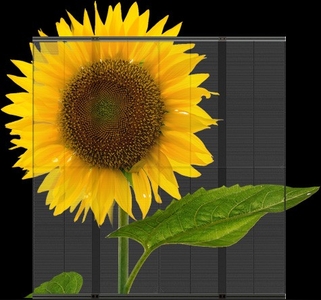 OzT6Ati1pXtH51lyZdTN.jpeg?w=940&h=940