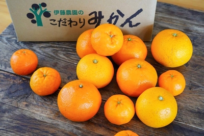 P0gnzo7e15bHCeVudMIg.jpg?w=940&h=940