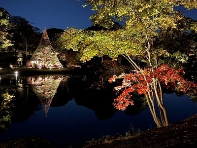 P1326V6bdLuTfaaRiRI9.jpg?w=940&h=940