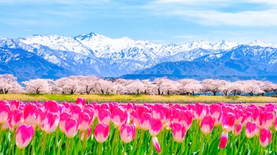 Photo by PIXTA　※画像はイメージです