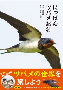 P2S1aVg555qtgjb4pBpz.jpg?w=940&h=940