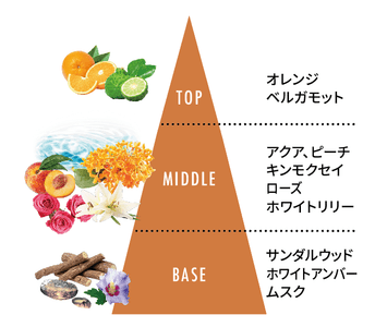 P2VXb8e6VKvGT6MujzK5.png?w=940&h=940