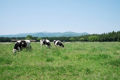 P3NVRvMZyGvTSjy75ovT.jpeg?w=940&h=940