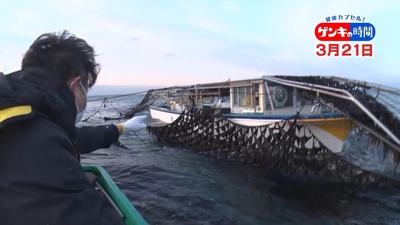 P3Ug8QGk4Wdo7pvKv7q6.jpg?w=940&h=940