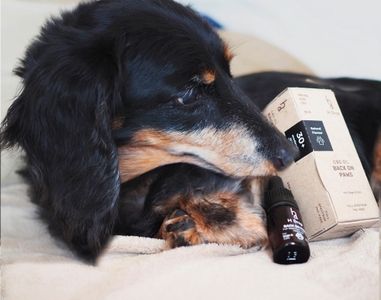 P3ajU96nnwcO5rwNCsiz.jpeg?w=940&h=940