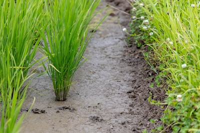 P3n3rTJ5fplKEb9VebNk.jpg?w=940&h=940