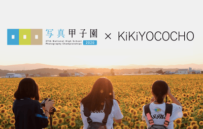 P3reV60VoU0VqHsSKWXu.png?w=940&h=940