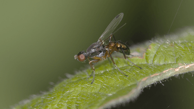 P4T8SisFFuVI4WXOHFmf.png?w=940&h=940