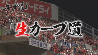 「生カープ道」 恒例の生放送を7月8日深夜にお届け！