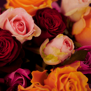 P7ToXX1gitMnR2C2GBqi.png?w=940&h=940