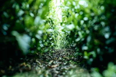 PAElUG3ZJllBvCSIhx87.jpg?w=940&h=940