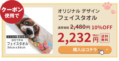 PAiEG48y8Oxvac8kbgxK.png?w=940&h=940