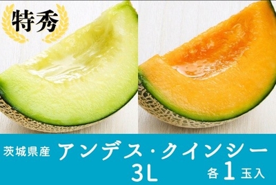 PAuN71HO0mpi7yEox3dr.jpeg?w=940&h=940