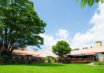 PB5cqJS3QEfkWbLaQh03.jpg?w=940&h=940