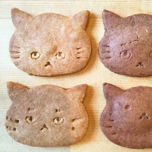 PCaRYu7gcNZ5poz52scn.JPG?w=940&h=940